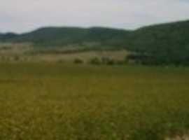 18,000 Sqm Building Land In Regulation Medovo Near Sunny Beach Bulgaria.