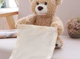 Teddy bear peek-a-poo