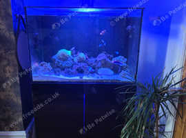 Evolution Aqua 300litre Rimless Tank And Stand