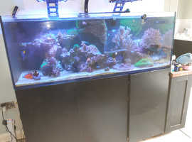 RED SEA 525 TANK