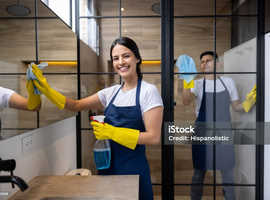 Kitchen Cleaning Services