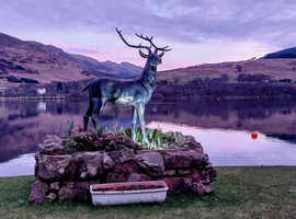 May Bank Holiday break, Loch Earn, Waterside cottage with free fishing,