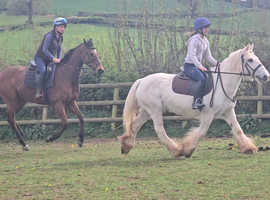 Super happy hack 14.1hh TGCA cob