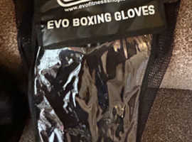 Brand New EVO Boxing Gloves size 16oz