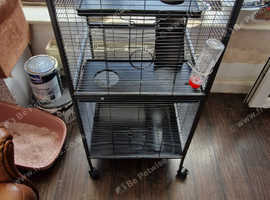 Rodent cage