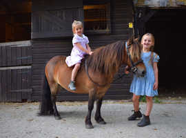 Ride and drive fun family pony