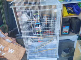 Large bird cage