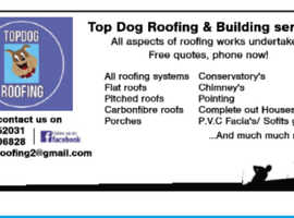 Topdog Roofing and guttering services