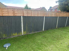 Fence Painting