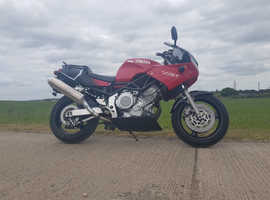 Yamaha TRX 850 A lovely example