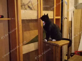 Snake or other pet enclosure