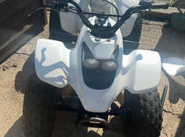 Quadzilla r100