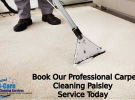 Carpet Cleaner Paisley