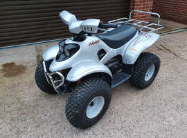 Quad bilke Nemesis ATV100A