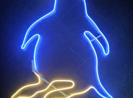 Indoor/outdoor christmas light