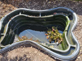 500 l fish pond 5ft x 4ft x 2.5ft