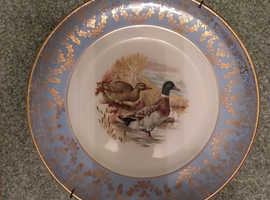Vintage plate showing a pair of mallard ducks.