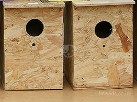 parakeet nest boxes