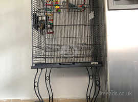 Bird/ Parrot Open Top large Cage with separate clean tray & stand