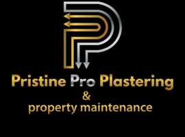 Pristine pro plastering & property maintenance