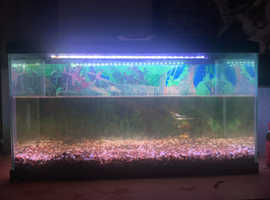 2ft 80ltr Tank OPEN TO OFFERS.