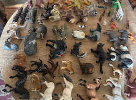 All different animals