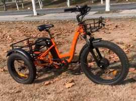 Amazing Adult Electric Tricycle -