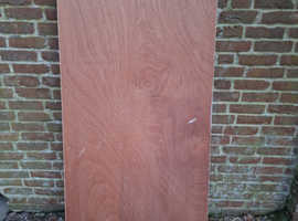 Plain Brown Wooden Internal Door