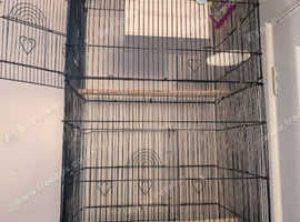 Small budgie/canary cage