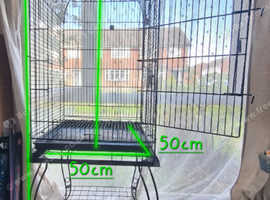 Aviaries and Cages in Argos Hill Find Bird Food and Accessories at Freeads in Argos Hill s 1 Classified Ads