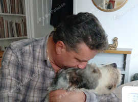 Urgent rehome please