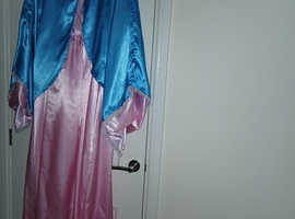 Fairy Godmother outfit in adult size