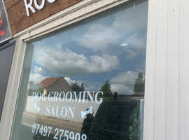 Dog Grooming Business for sale.