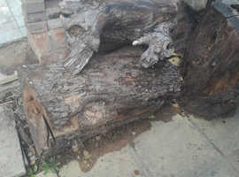 Free wood available