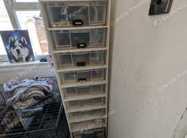 Snake collection for sale