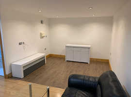 Modern studio apartment