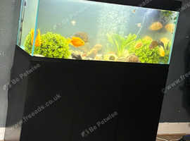 375litre fish tank full set up