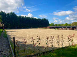 Livery Rowebuck Stables Isfield Uckfield in Uckfield