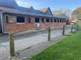 Livery Rowebuck Stables Isfield Uckfield in Uckfield