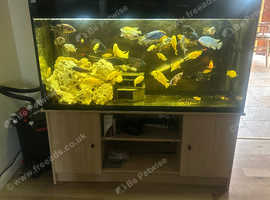 4ft Fish Tank Full Set Up