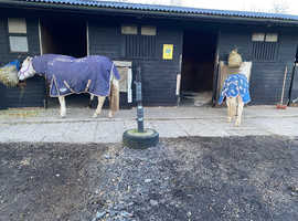 Free use of stables good turnout & access to field