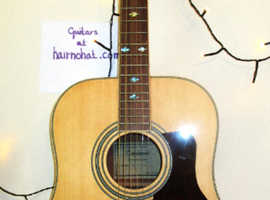 TANGLEWOOD TW 115 ST  acoustic Guitar