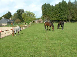Wanted- smallholding in Wales with minimum of 1 acre.