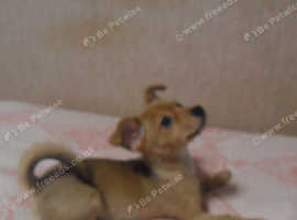 59c5a45886cf6fded9c38fe1ed1490dd0a97ea5064022.webp