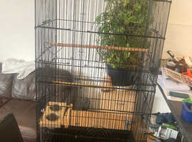 Bird / parrot cage