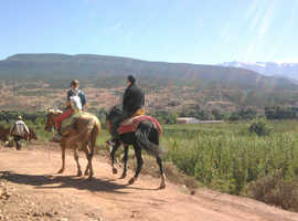 Horse riding and hike in the Atlas Mountains