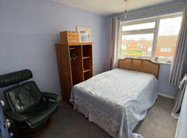 Room to let