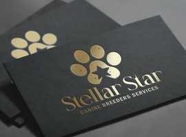 Stellar star canine breeder services