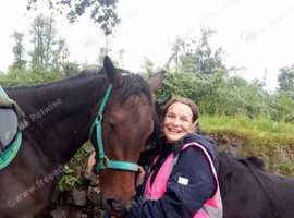 Holiday care/ daycare/ all pets, Inc equine