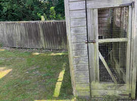 Cattery
